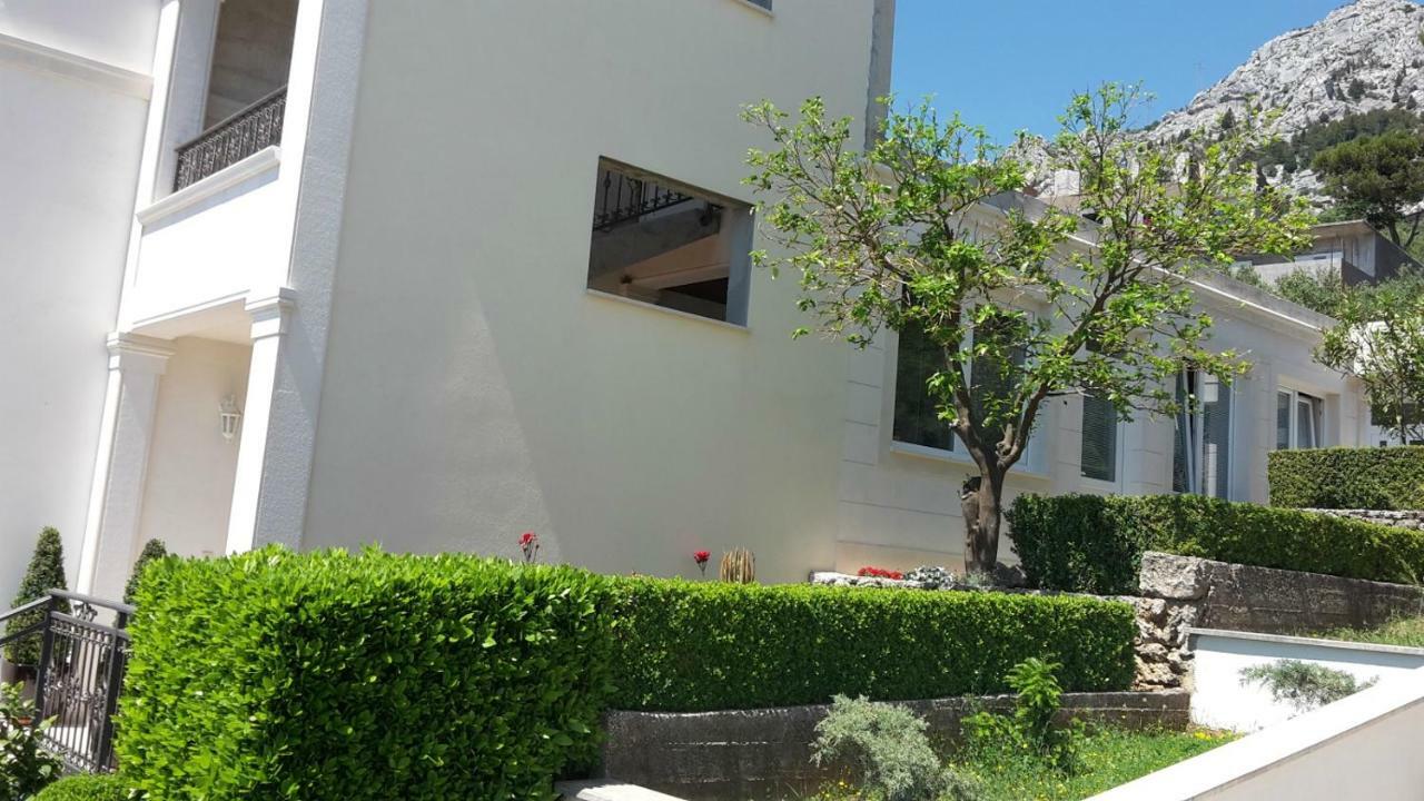 Guest House Fenix ברלה מראה חיצוני תמונה