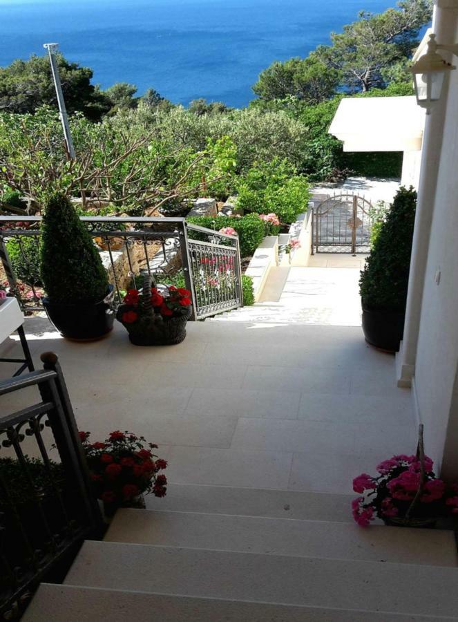 Guest House Fenix ברלה מראה חיצוני תמונה