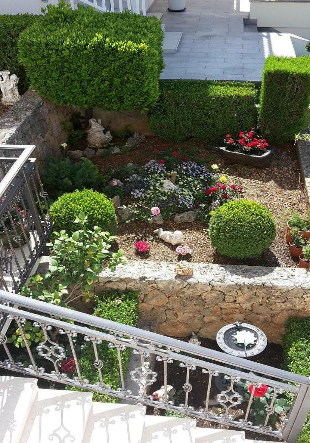 Guest House Fenix ברלה מראה חיצוני תמונה