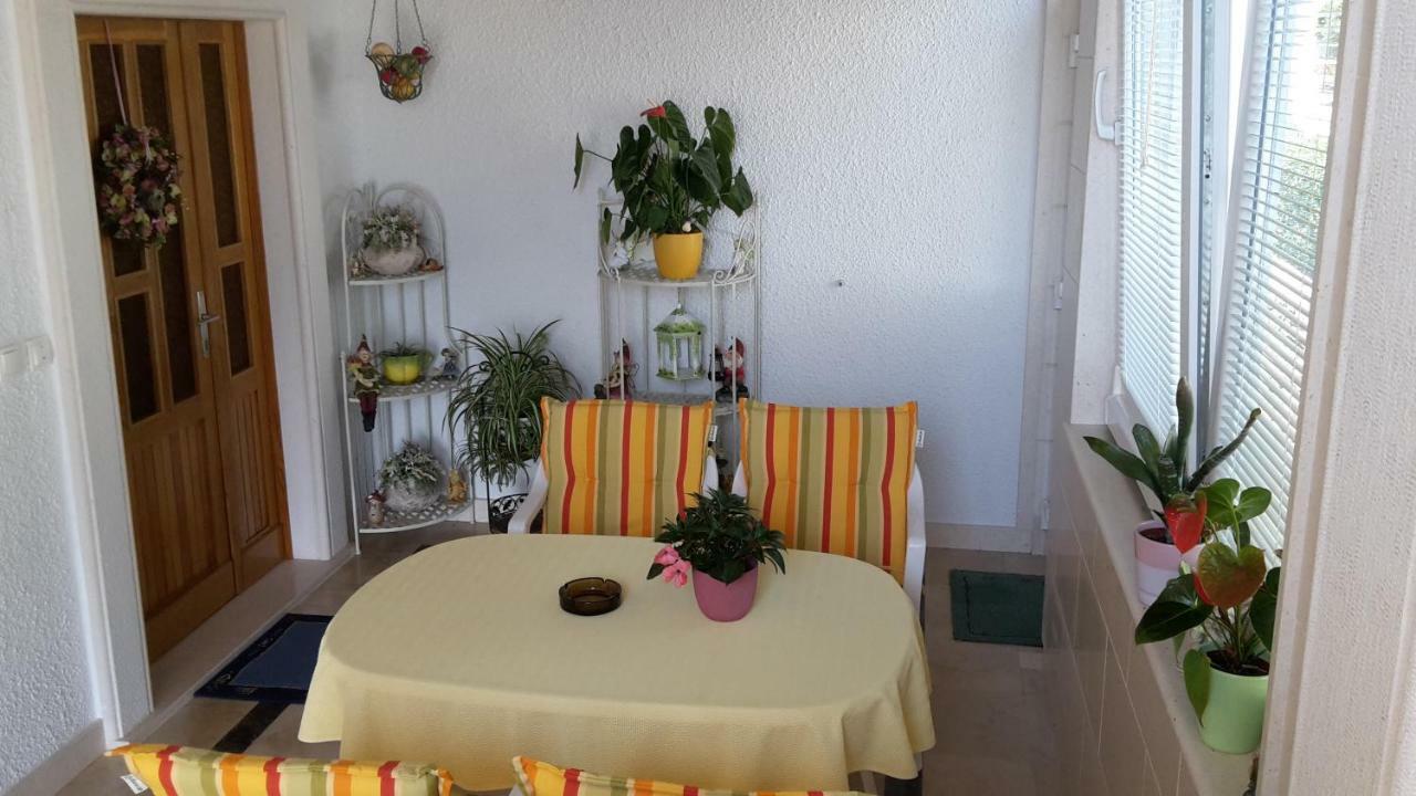 Guest House Fenix ברלה מראה חיצוני תמונה