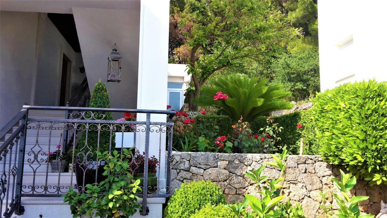 Guest House Fenix ברלה מראה חיצוני תמונה