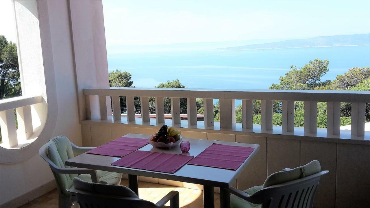 Guest House Fenix ברלה מראה חיצוני תמונה